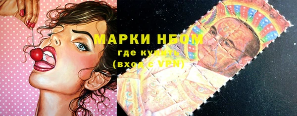 PSILOCYBIN Аркадак